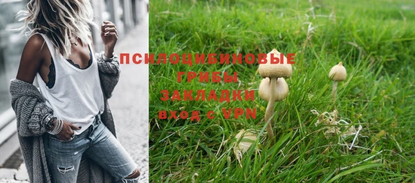 тгк Коряжма