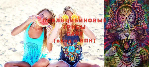 тгк Коряжма