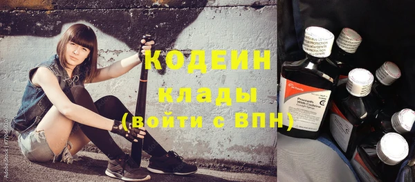 индика Костерёво