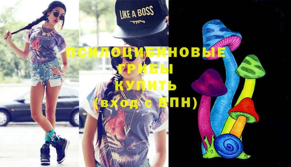 ГАЛЛЮЦИНОГЕННЫЕ ГРИБЫ Козельск