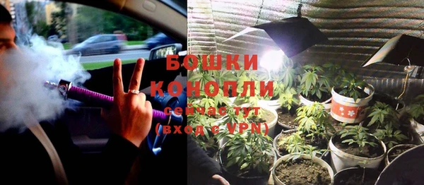 ГАЛЛЮЦИНОГЕННЫЕ ГРИБЫ Козельск