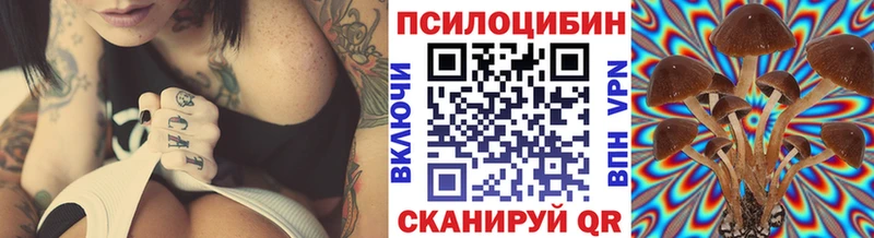 Купить где  Раменское  Галлюциногенные грибы Cubensis 