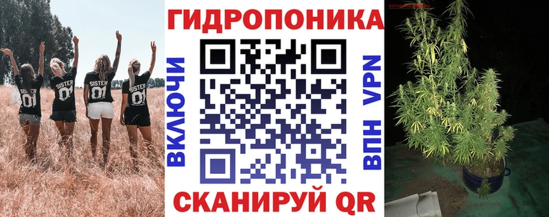 Бошки марихуана Bruce Banner  Купить закладки  Раменское 